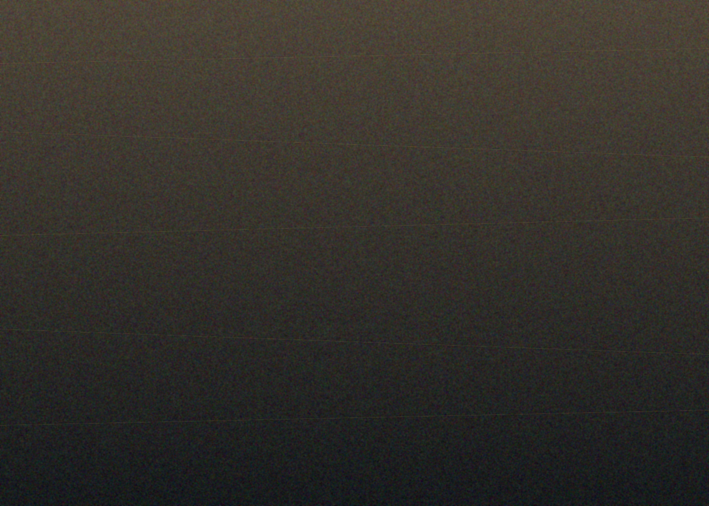 Graphite slate outdoor tile